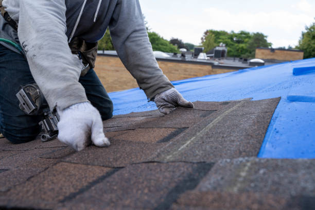 Quick and Trustworthy Emergency Roof Repair Services in Canfield, OH