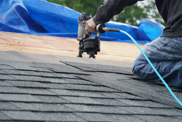 Best Storm Damage Roof Repair  in Canfield, OH