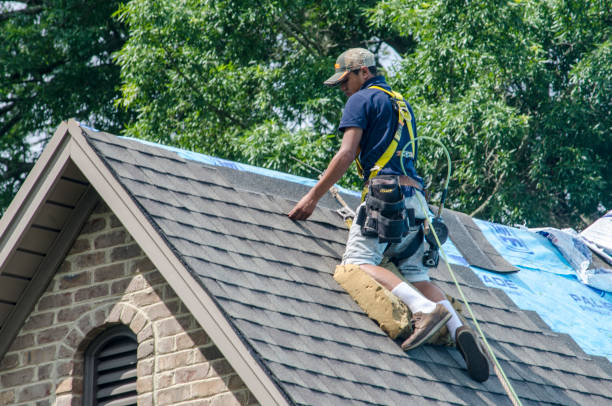 Best Slate Roofing Contractor  in Canfield, OH